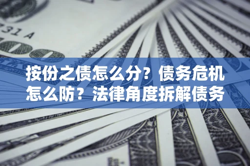 武汉按份之债怎么分？债务危机怎么防？法律角度拆解债务分配与风险自保指南