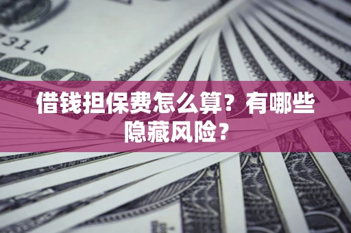 武汉借钱担保费怎么算？有哪些隐藏风险？