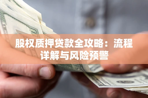 武汉股权质押贷款全攻略：流程详解与风险预警
