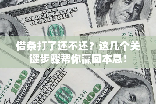 武汉借条打了还不还？这几个关键步骤帮你赢回本息！