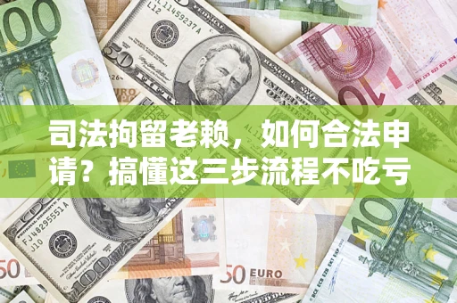 武汉司法拘留老赖，如何合法申请？搞懂这三步流程不吃亏！