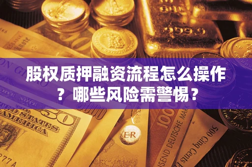 武汉股权质押融资流程怎么操作？哪些风险需警惕？