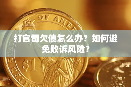 武汉打官司欠债怎么办？如何避免败诉风险？