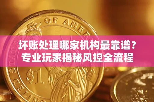 武汉坏账处理哪家机构最靠谱？专业玩家揭秘风控全流程