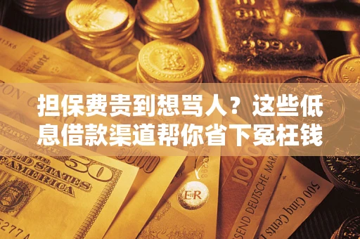 武汉担保费贵到想骂人？这些低息借款渠道帮你省下冤枉钱