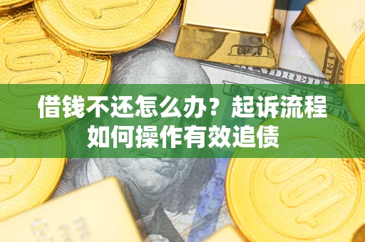 武汉借钱不还怎么办？起诉流程如何操作有效追债