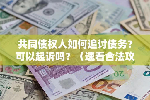 武汉共同债权人如何追讨债务？可以起诉吗？（速看合法攻略）