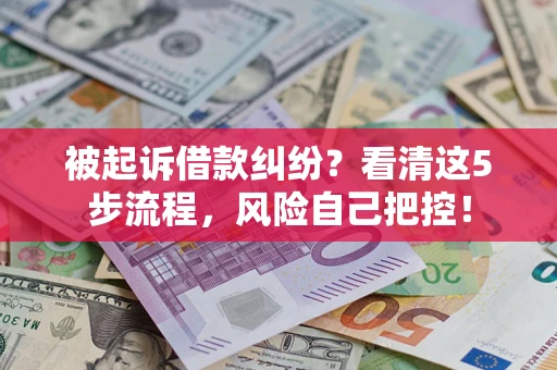 武汉被起诉借款纠纷？看清这5步流程，风险自己把控！
