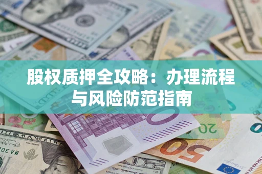 武汉股权质押全攻略：办理流程与风险防范指南