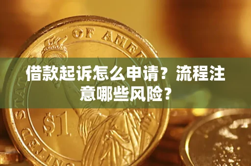武汉借款起诉怎么申请？流程注意哪些风险？